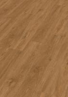 RD 200 S - Quiet Storm 20080